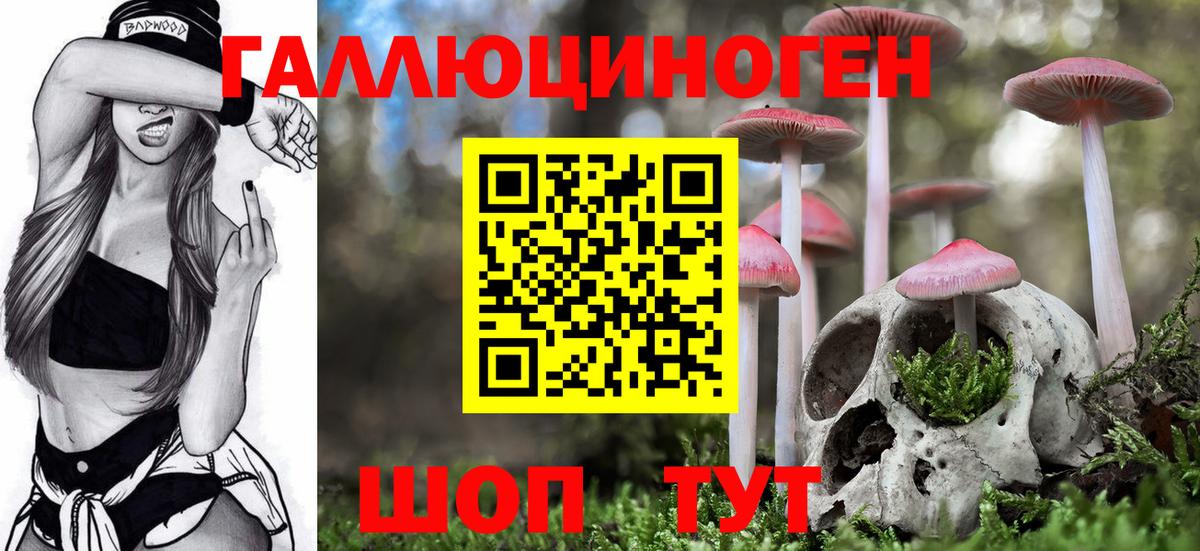 Псилоцибиновые грибы MAGIC MUSHROOMS  Галлюциногенные грибы Cubensis  Вход с VPN  Батайск 